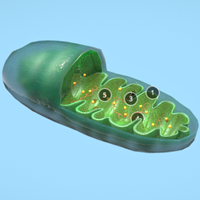 Biology 3D