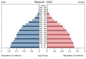 9th Grade Ap Human Geography Population Pyramids By Diya Brijesh 612 On Genially