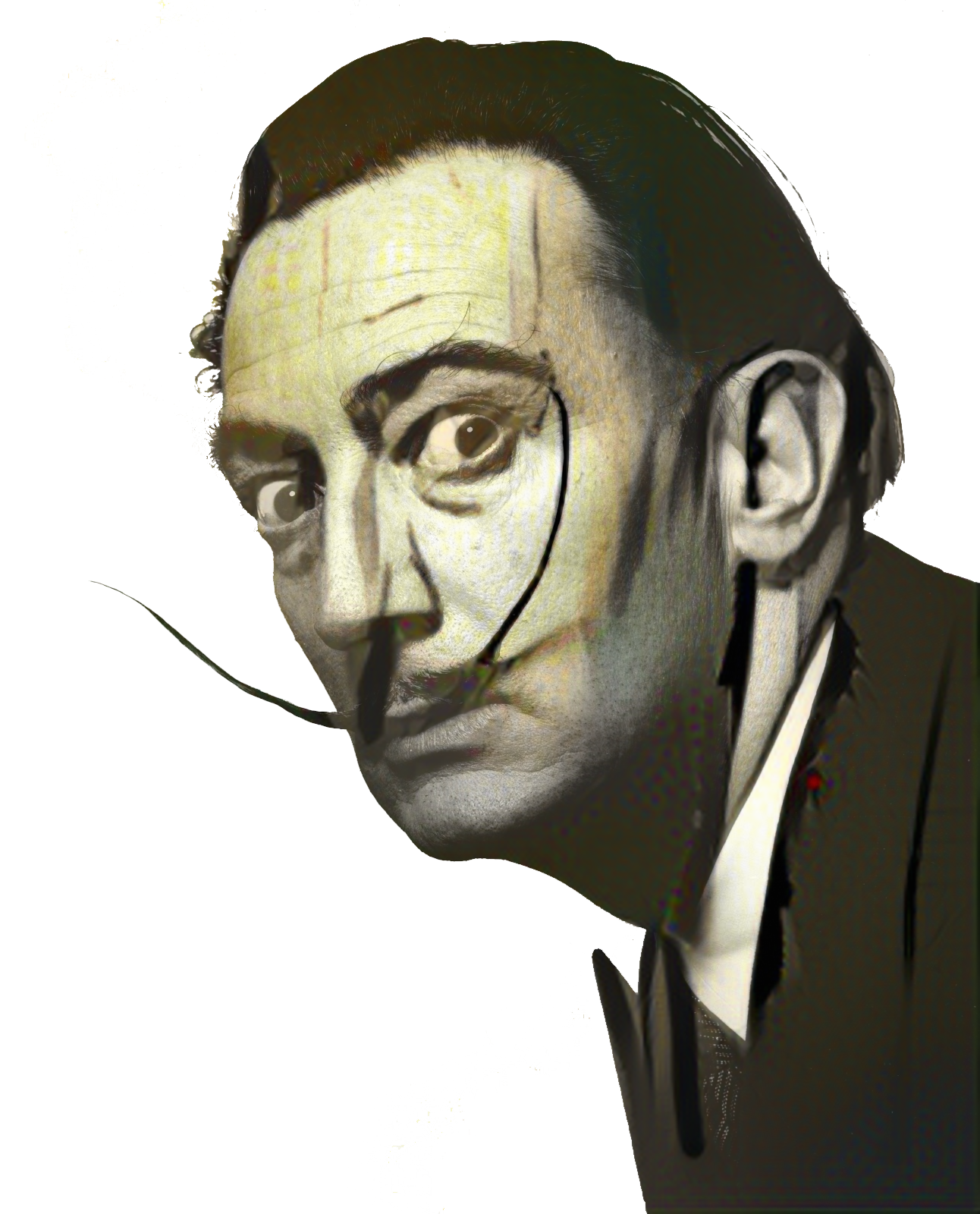 Aparición De Un Rostro Y Un Frutero En La Playa Salvador Dalí y el misterio de la metamorfosis (copie élèves)
