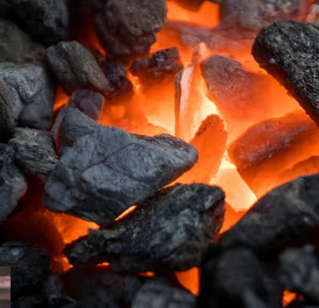 Ressources Arguments Charbon Genially