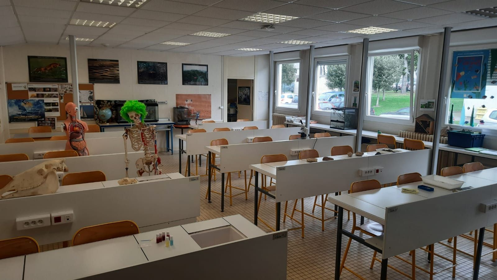 A La Decouverte Des Svt En 6eme Au College Duguay Trouin By Bertrand Baleine On Genially