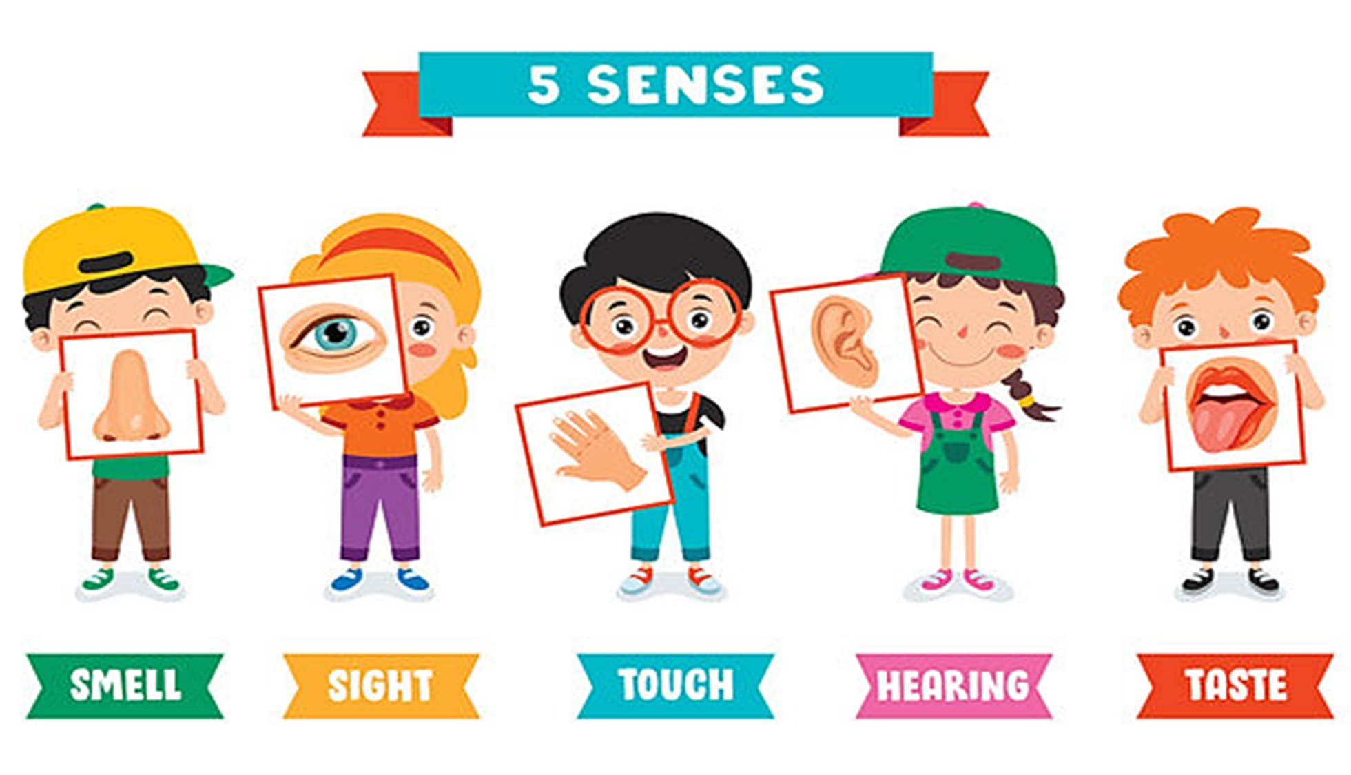 SENSES KID'S BOX 5 | Genially