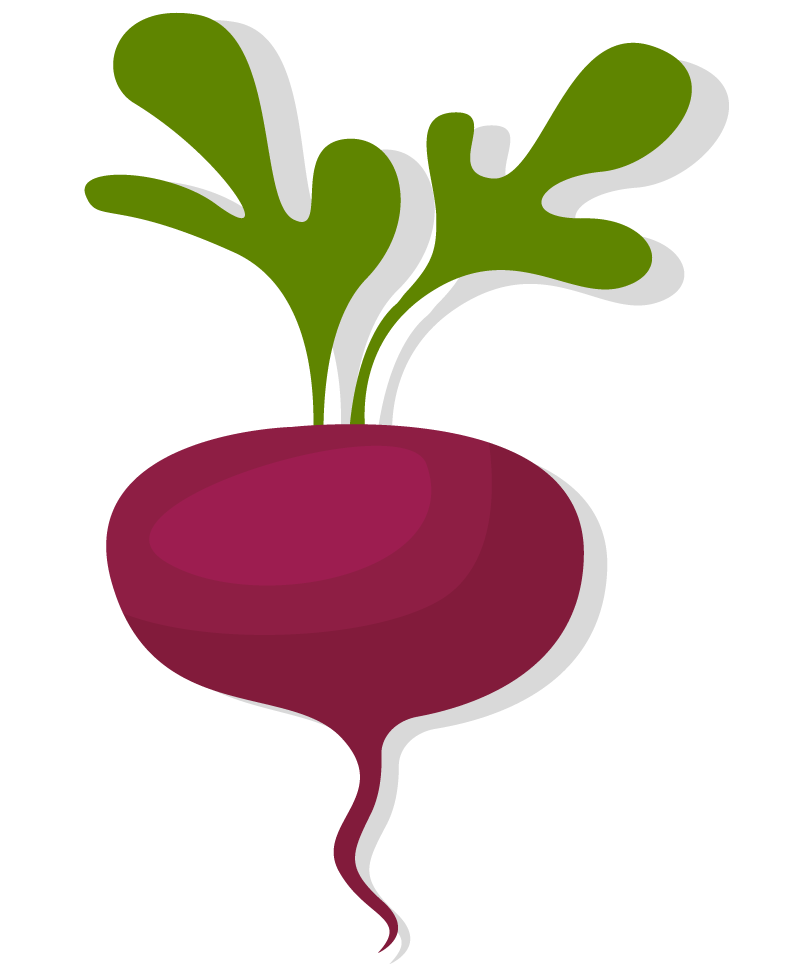 Betabel By Ernesto Lopez On Genially