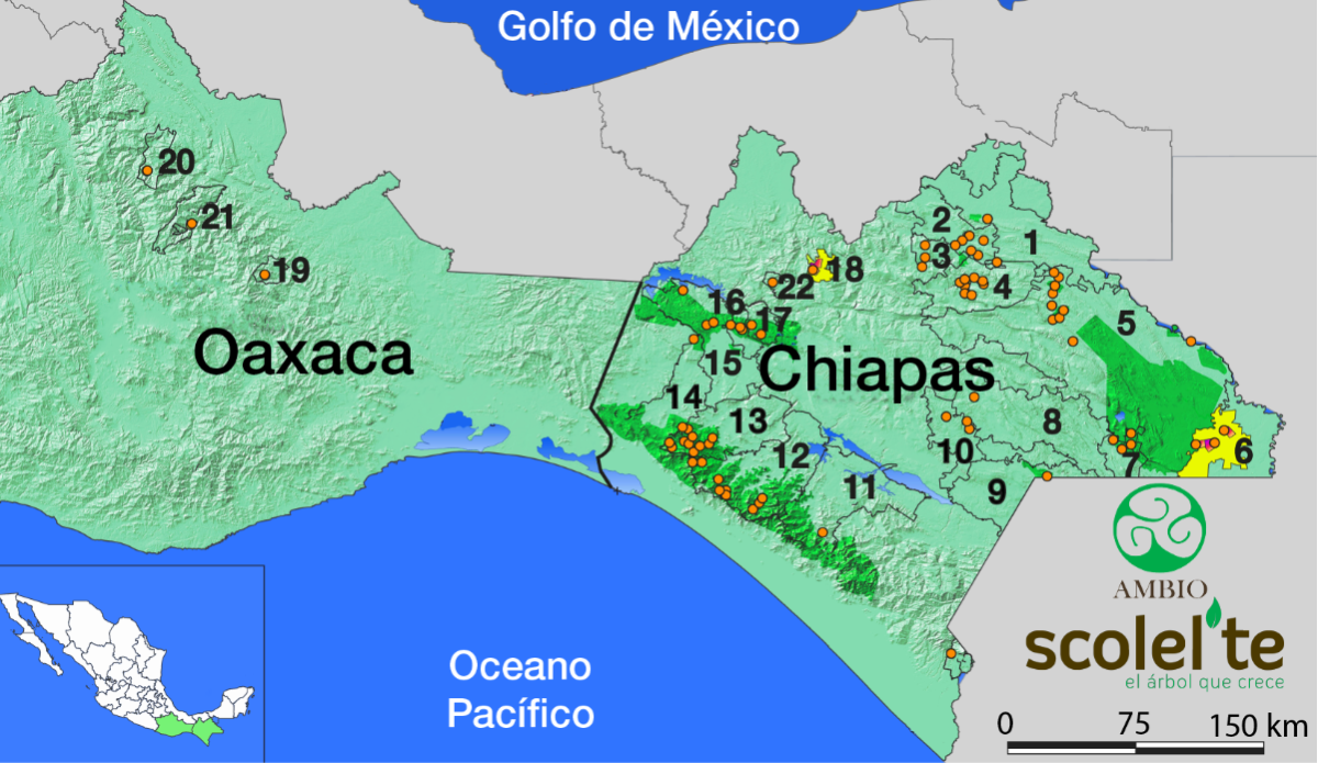 Municipios de Chiapas