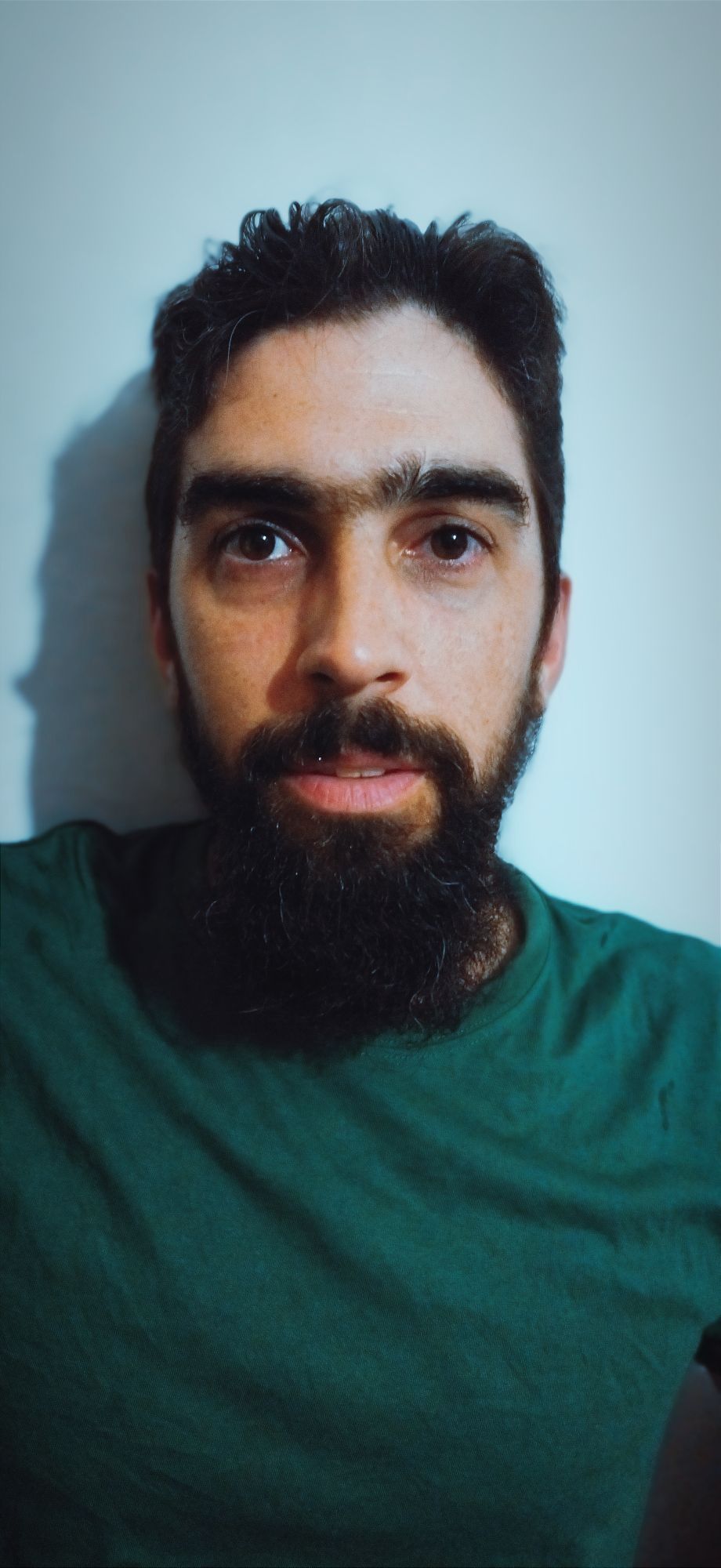 Fernando Ogando Genially