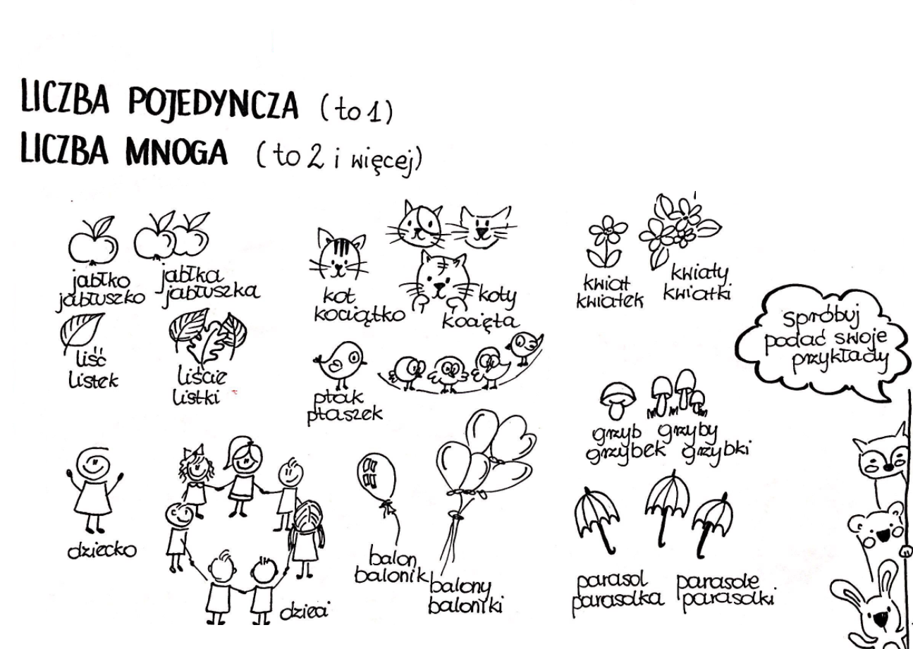 Liczba Pojedyncza I Mnoga Klasa 2 Liczba pojedyncza i mnoga