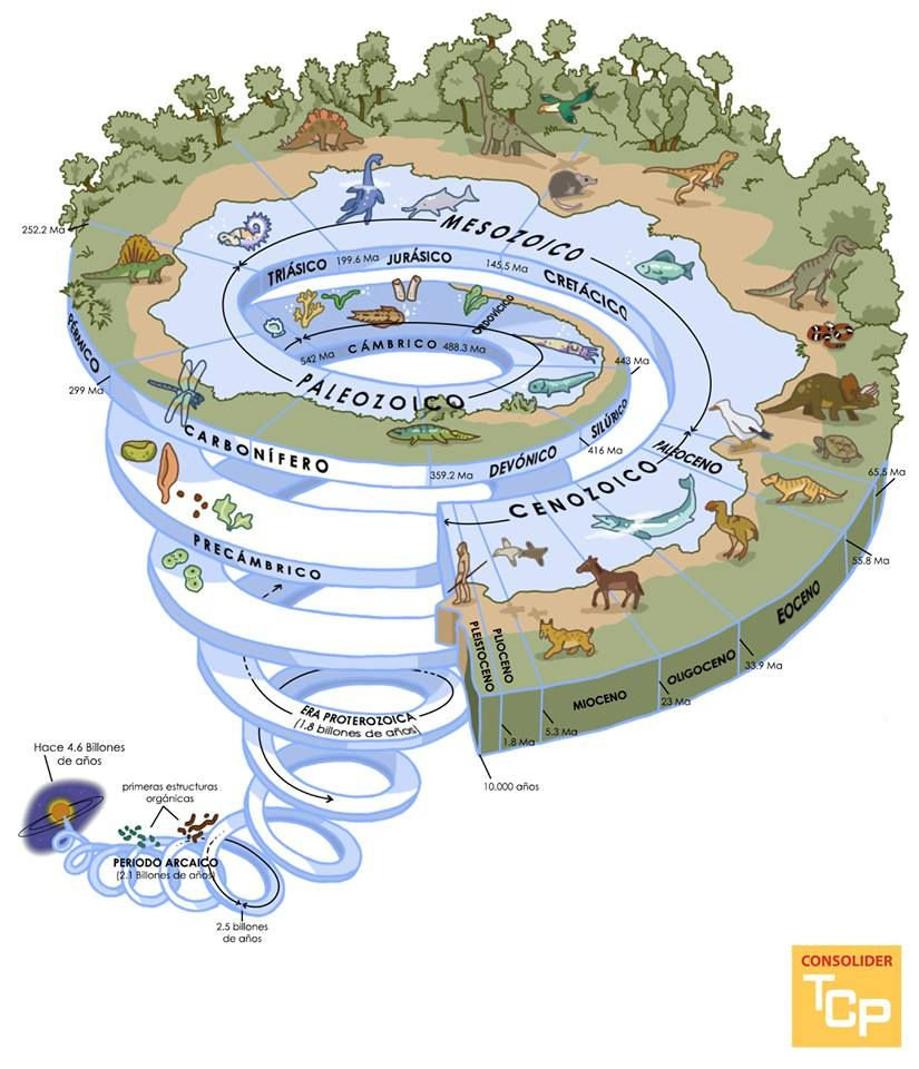 Todas Las Criaturas Grandes Y Pequeñas Serie Wikipedia Interactive image by 70576 on Genially