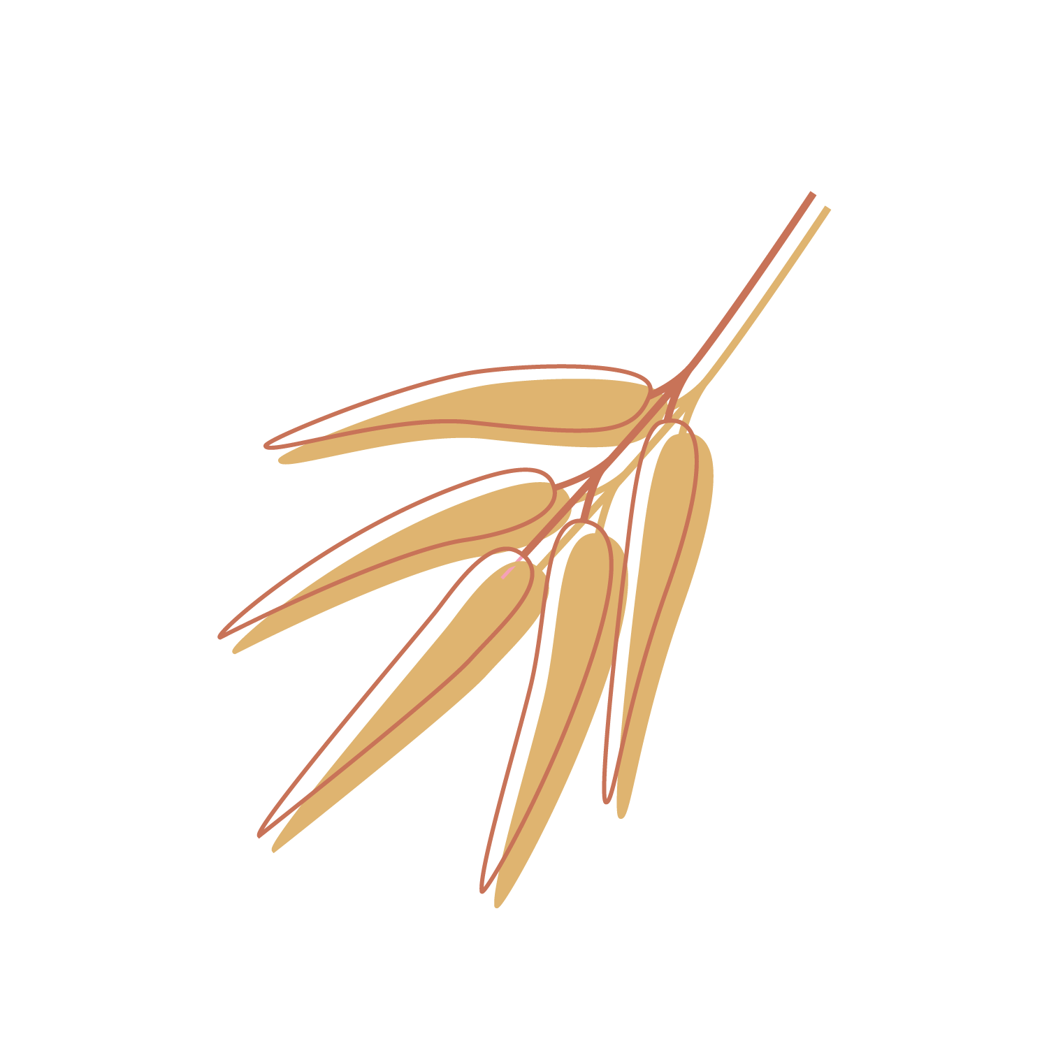 ADIVINANZA 2 ADIVINANZA 2