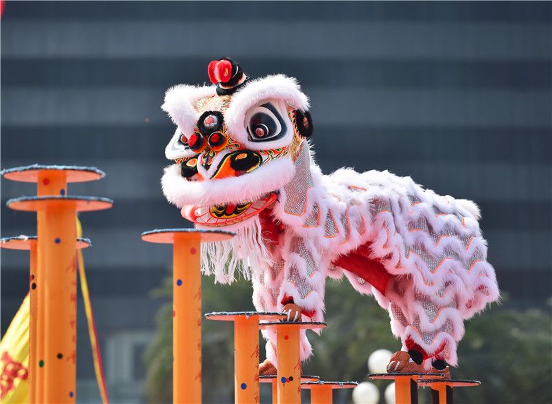 春节(SPRING FESTIVAL / CHINESE NEW YEAR)