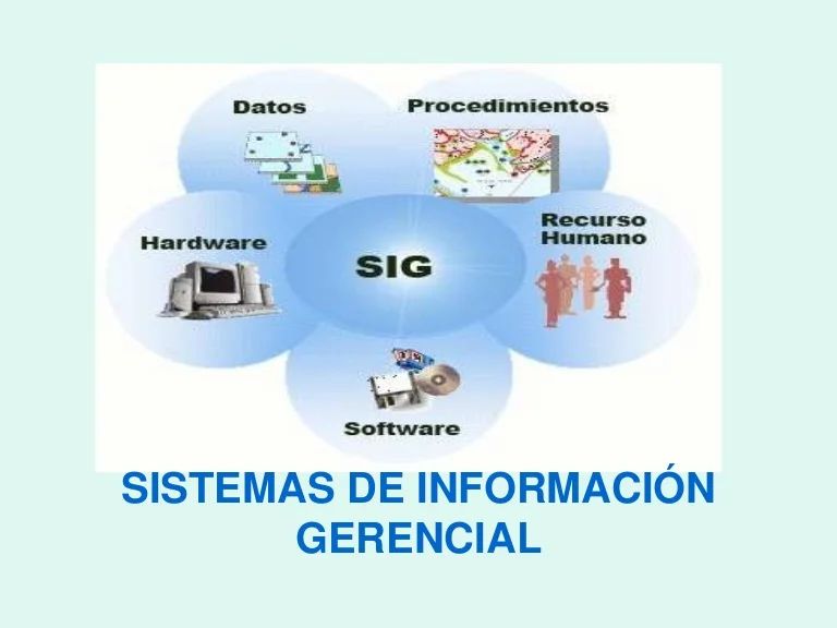 Estructura Y Evolución De Los Sistemas De Información Gerencial