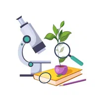 School Timetable | Genially