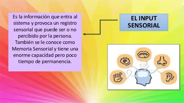 Cognicion grupo 4 | Genially