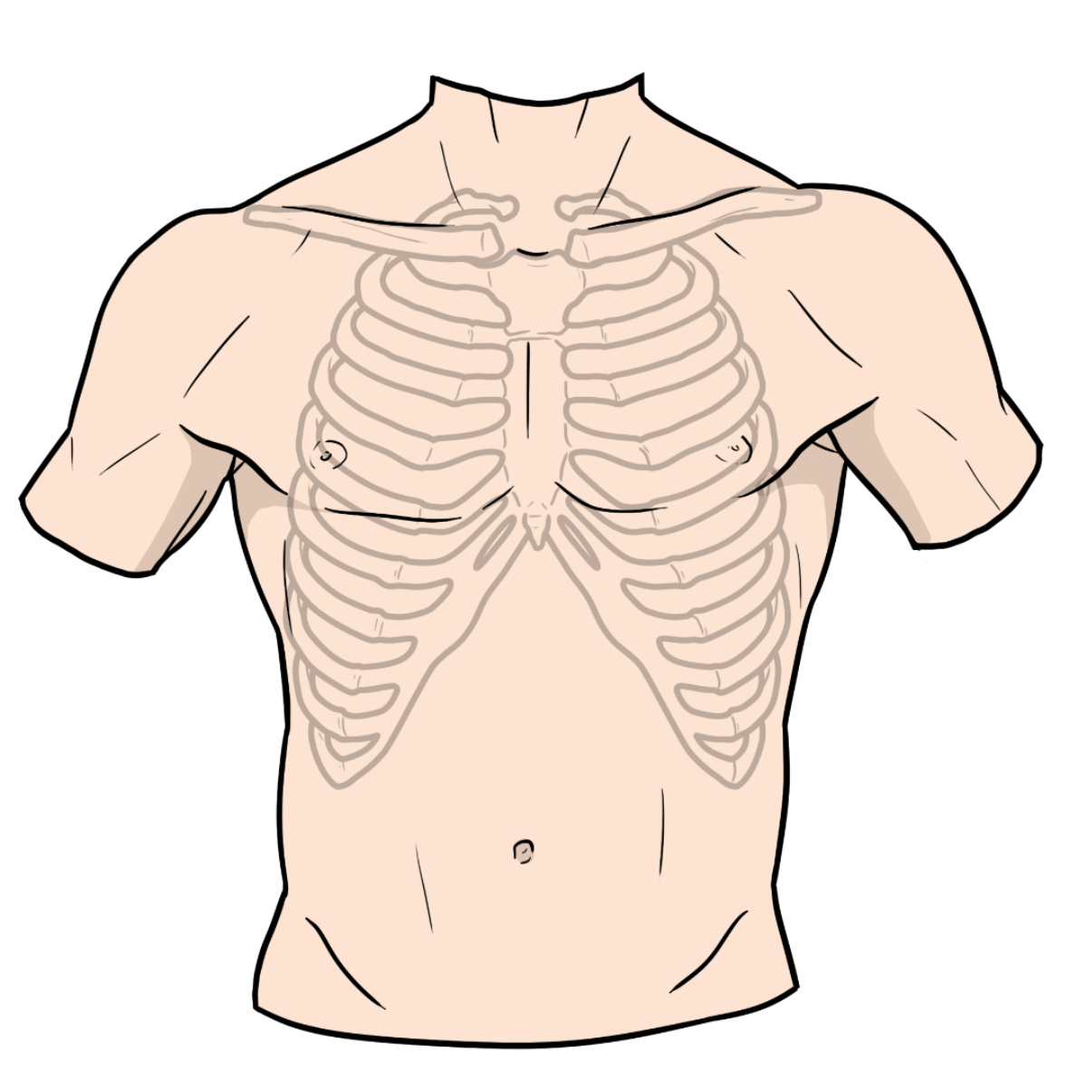 Normal heart sounds