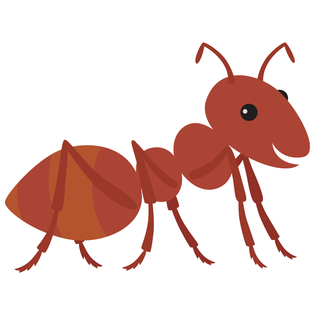 Pseint Insecto Insects | Genially