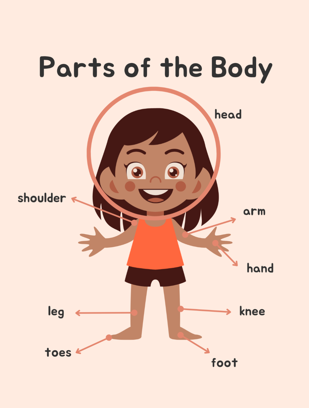 Parts of the body (girl)