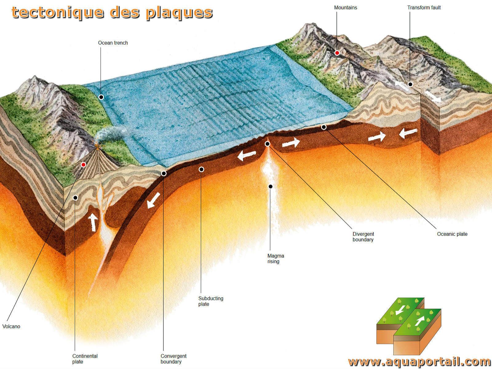 Les théories de la tectonique des plaques | Genially
