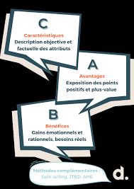 BASIC SHAPES TIMELINE | Genially