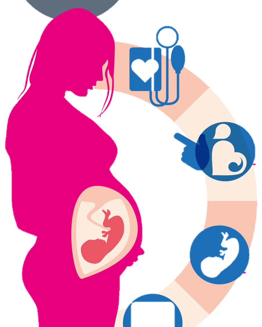 Desarrollo prenatal | Genially