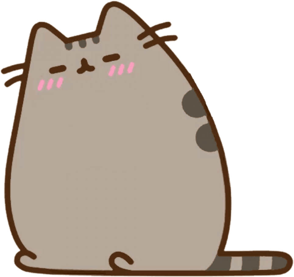 Pusheen Summer Questions A2