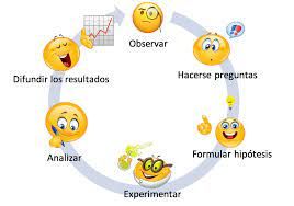 ETAPAS CRECIMIENTO PLANTAS | Genially