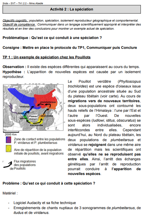 Copy - Autoévaluation