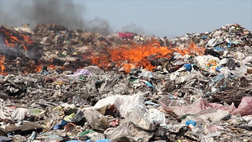 Picture of Ecomafia