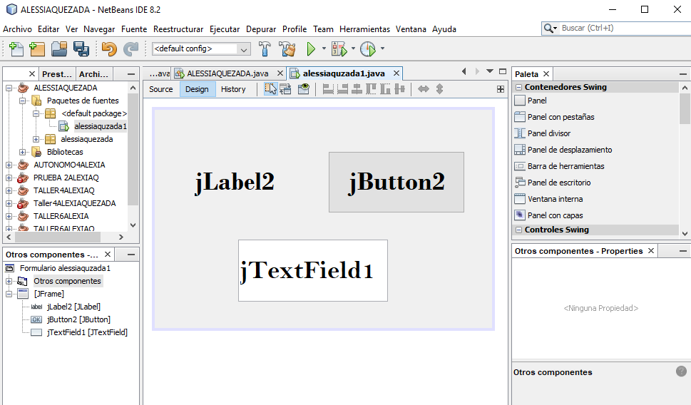 ENTORNO NETBEANS