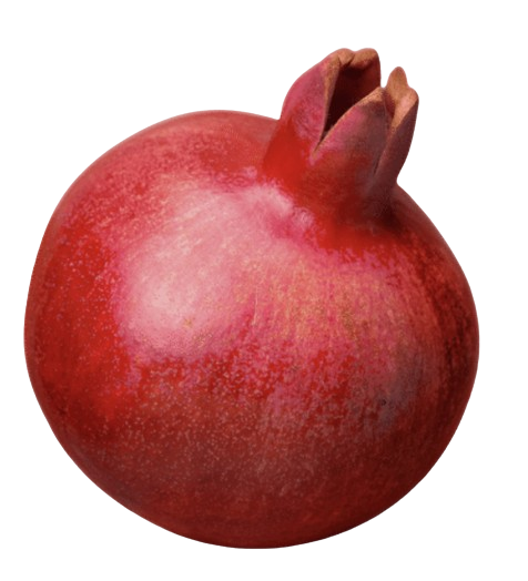 Obst und Gemüse | Genially