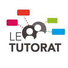 GENIAL STORYBOARD GUIDE | Genially