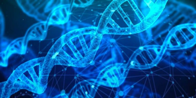 La cellula | Genially