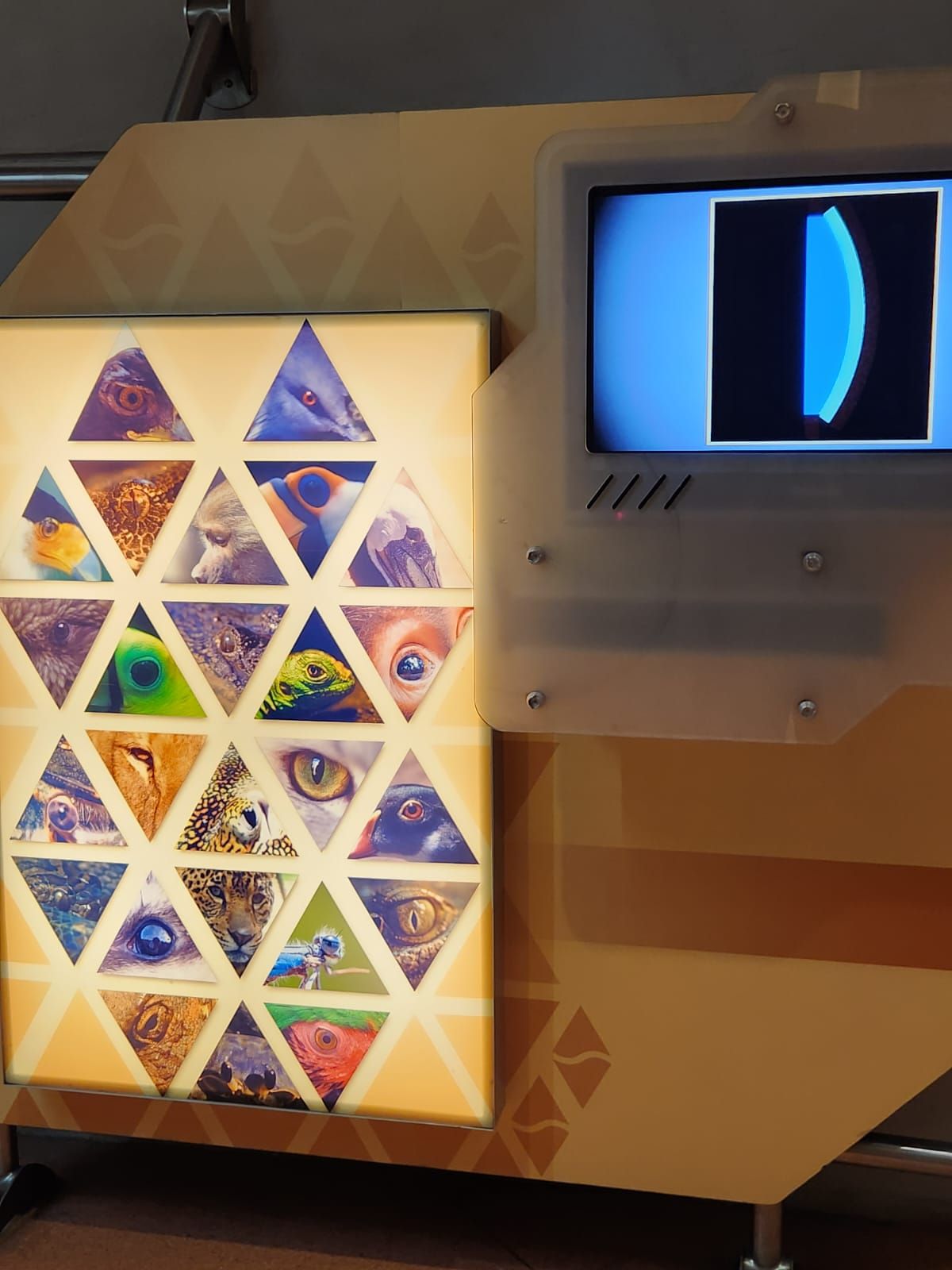 MUSEO