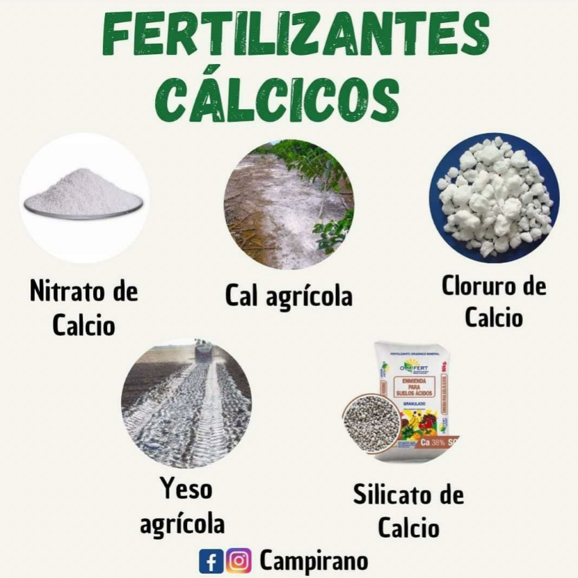 INFO DATOS | Genially